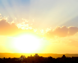 After over fortnight, Chandigarh wakes up to sunny morning | After over fortnight, Chandigarh wakes up to sunny morning After over fortnight, Chandigarh wakes up to sunny morning | After over fortnight, Chandigarh wakes up to sunny morning