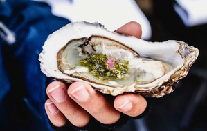 LA health department investigates illnesses linked to raw oysters | LA health department investigates illnesses linked to raw oysters