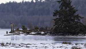 5 people die from hypothermia in Seattle | 5 people die from hypothermia in Seattle