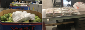 Indian-origin truck driver admits trafficking nearly 30 kg of cocaine into Canada | Indian-origin truck driver admits trafficking nearly 30 kg of cocaine into Canada Indian-origin truck driver admits trafficking nearly 30 kg of cocaine into Canada | Indian-origin truck driver admits trafficking nearly 30 kg of cocaine into Canada