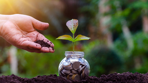 Bigger mutual fund schemes start deploying cash | Bigger mutual fund schemes start deploying cash Bigger mutual fund schemes start deploying cash | Bigger mutual fund schemes start deploying cash