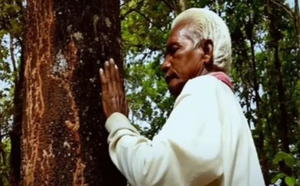 Padma Shree Dukhu Majhi elated as his passion for planting trees yields fruit | Padma Shree Dukhu Majhi elated as his passion for planting trees yields fruit Padma Shree Dukhu Majhi elated as his passion for planting trees yields fruit | Padma Shree Dukhu Majhi elated as his passion for planting trees yields fruit