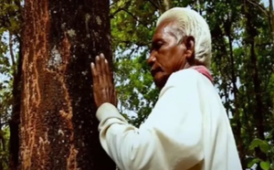 Padma Shri strengthens Dukhu Majhi's resolve to carry forward his tree plantation mission | Padma Shri strengthens Dukhu Majhi's resolve to carry forward his tree plantation mission