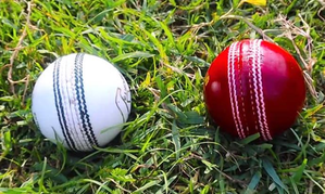 White ball or Test team, both need killer punch for success in world cricket | White ball or Test team, both need killer punch for success in world cricket