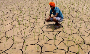 Beyond War: Punjab seeks Israel's support for virus-free horticulture | Beyond War: Punjab seeks Israel's support for virus-free horticulture Beyond War: Punjab seeks Israel's support for virus-free horticulture | Beyond War: Punjab seeks Israel's support for virus-free horticulture