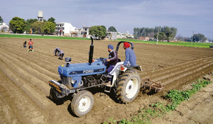 Agricultural sector is bedrock of nation's economy: Economy Review | Agricultural sector is bedrock of nation's economy: Economy Review Agricultural sector is bedrock of nation's economy: Economy Review | Agricultural sector is bedrock of nation's economy: Economy Review