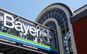Bayer shares slump after court order to pay $2.25 bn in damages | Bayer shares slump after court order to pay $2.25 bn in damages