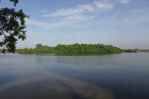 Two more TN places declared as Ramsar sites | Two more TN places declared as Ramsar sites Two more TN places declared as Ramsar sites | Two more TN places declared as Ramsar sites