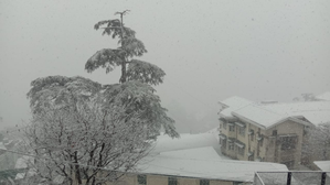Shimla gets season’s first snowfall; tourists rush | Shimla gets season’s first snowfall; tourists rush