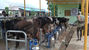 Dairy tech startup Stellapps in discussions to raise $20 mn in new funding round | Dairy tech startup Stellapps in discussions to raise $20 mn in new funding round Dairy tech startup Stellapps in discussions to raise $20 mn in new funding round | Dairy tech startup Stellapps in discussions to raise $20 mn in new funding round