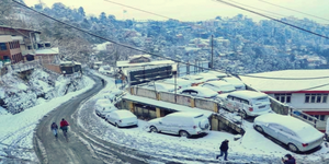 More snow in store for Himachal this weekend: Met Office | More snow in store for Himachal this weekend: Met Office More snow in store for Himachal this weekend: Met Office | More snow in store for Himachal this weekend: Met Office