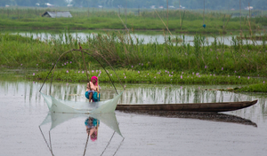 Loktak's floating village Champu Khangpok a showcase of Manipuri heritage | Loktak's floating village Champu Khangpok a showcase of Manipuri heritage Loktak's floating village Champu Khangpok a showcase of Manipuri heritage | Loktak's floating village Champu Khangpok a showcase of Manipuri heritage