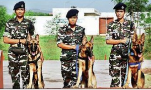 In a first, SSB appointed three women handlers for dog squads | In a first, SSB appointed three women handlers for dog squads