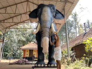 NGO hands over robotic elephant to TN temple | NGO hands over robotic elephant to TN temple NGO hands over robotic elephant to TN temple | NGO hands over robotic elephant to TN temple