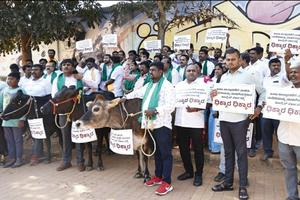Siddaramaiah silent over farmer suicides in K’taka: BJP | Siddaramaiah silent over farmer suicides in K’taka: BJP Siddaramaiah silent over farmer suicides in K’taka: BJP | Siddaramaiah silent over farmer suicides in K’taka: BJP