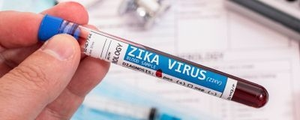 Prior Zika infection may spike risk of severe dengue: Study | Prior Zika infection may spike risk of severe dengue: Study