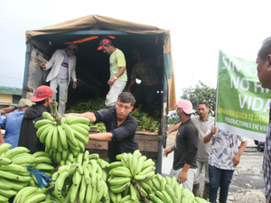 India exports bananas to Russia after Moscow stops purchase from Ecuador (Ld correcting headline) | India exports bananas to Russia after Moscow stops purchase from Ecuador (Ld correcting headline)