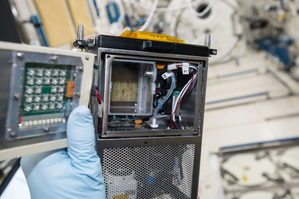 NASA Expedition 71 astronauts to conduct key research in space | NASA Expedition 71 astronauts to conduct key research in space