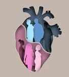 How heart attack symptoms differ in men & women | How heart attack symptoms differ in men & women