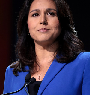 Tulsi Gabbard 'open' to talks on running as Trump's mate, discusses foreign policy | Tulsi Gabbard 'open' to talks on running as Trump's mate, discusses foreign policy