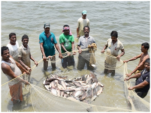 Govt ropes in ONDC to bring fishermen on e-market platform | Govt ropes in ONDC to bring fishermen on e-market platform Govt ropes in ONDC to bring fishermen on e-market platform | Govt ropes in ONDC to bring fishermen on e-market platform