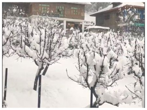 J&K: Authorities urge people to exercise caution amid heavy snowfall | J&K: Authorities urge people to exercise caution amid heavy snowfall J&K: Authorities urge people to exercise caution amid heavy snowfall | J&K: Authorities urge people to exercise caution amid heavy snowfall