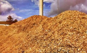 Cooking with biomass fuel in Northeast may pose alarming health risks: IIT-Mandi study | Cooking with biomass fuel in Northeast may pose alarming health risks: IIT-Mandi study