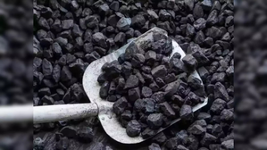 India’s coal imports for power plants fall by 37% as self-reliance grows | India’s coal imports for power plants fall by 37% as self-reliance grows India’s coal imports for power plants fall by 37% as self-reliance grows | India’s coal imports for power plants fall by 37% as self-reliance grows