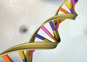 Researchers identify 275 mn new genetic variants: Study | Researchers identify 275 mn new genetic variants: Study