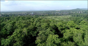 Coal PSUs enhance green cover with 235 lakh trees across 10,784 hectares | Coal PSUs enhance green cover with 235 lakh trees across 10,784 hectares Coal PSUs enhance green cover with 235 lakh trees across 10,784 hectares | Coal PSUs enhance green cover with 235 lakh trees across 10,784 hectares