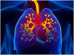 Inflammatory protein potential key to treating severe asthma: Study | Inflammatory protein potential key to treating severe asthma: Study Inflammatory protein potential key to treating severe asthma: Study | Inflammatory protein potential key to treating severe asthma: Study