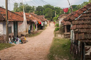 Rural livelihoods have seen an improvement implying success of govt policy | Rural livelihoods have seen an improvement implying success of govt policy