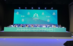 India seeks greater say for developing countries at WTO meet | India seeks greater say for developing countries at WTO meet India seeks greater say for developing countries at WTO meet | India seeks greater say for developing countries at WTO meet