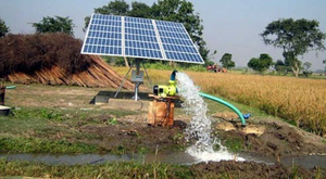 Farmers adopted 67,418 solar pumps last year: Haryana Minister | Farmers adopted 67,418 solar pumps last year: Haryana Minister