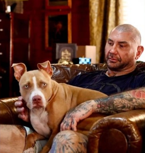 Dave Bautista says Chris Pratt, Millie Bobby Brown helped him adopt dog | Dave Bautista says Chris Pratt, Millie Bobby Brown helped him adopt dog