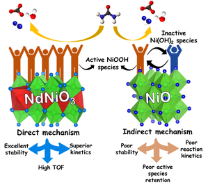 Indian scientists identify new catalyst that can boost urea-assisted water splitting | Indian scientists identify new catalyst that can boost urea-assisted water splitting Indian scientists identify new catalyst that can boost urea-assisted water splitting | Indian scientists identify new catalyst that can boost urea-assisted water splitting