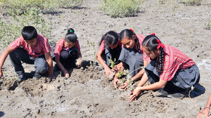 600 students of Adani Vidya Mandir Bhadreshwar pledge to plant over 25,000 saplings | 600 students of Adani Vidya Mandir Bhadreshwar pledge to plant over 25,000 saplings