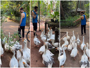 Kartik Aaryan gets mobbed by ducks on his ‘ducks day out’ | Kartik Aaryan gets mobbed by ducks on his ‘ducks day out’