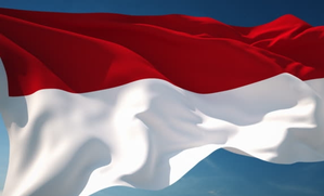 Small plane loses contact in Indonesia | Small plane loses contact in Indonesia Small plane loses contact in Indonesia | Small plane loses contact in Indonesia