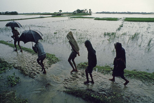 Study decodes how land conditions impact summer monsoons in Asia | Study decodes how land conditions impact summer monsoons in Asia