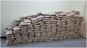 Tamil Nadu: Hashish valued at Rs 110 crore seized from Pudukkottai godown | Tamil Nadu: Hashish valued at Rs 110 crore seized from Pudukkottai godown Tamil Nadu: Hashish valued at Rs 110 crore seized from Pudukkottai godown | Tamil Nadu: Hashish valued at Rs 110 crore seized from Pudukkottai godown
