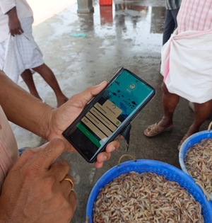 CMFRI launches mobile App to encourage citizen science initiative in marine fisheries research | CMFRI launches mobile App to encourage citizen science initiative in marine fisheries research