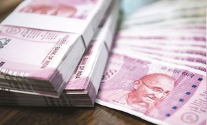 Illicit liquor, cash worth Rs 115 cr seized in Rajasthan since March 1 | Illicit liquor, cash worth Rs 115 cr seized in Rajasthan since March 1
