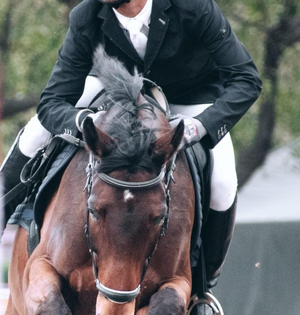 Arjan Nagra clinches title in first leg of National Eventing Championship | Arjan Nagra clinches title in first leg of National Eventing Championship Arjan Nagra clinches title in first leg of National Eventing Championship | Arjan Nagra clinches title in first leg of National Eventing Championship