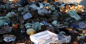 Households across all continents wasted over 1 billion meals a day: UN report | Households across all continents wasted over 1 billion meals a day: UN report