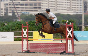 Zrey Dodhy wins gold on second day of Mumbai Horse Show 2024 | Zrey Dodhy wins gold on second day of Mumbai Horse Show 2024