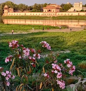 Water crisis looms large over Agra as summer heat intensifies | Water crisis looms large over Agra as summer heat intensifies Water crisis looms large over Agra as summer heat intensifies | Water crisis looms large over Agra as summer heat intensifies