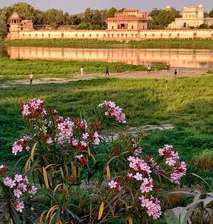 Water crisis looms large over Agra as summer heat intensifies | Water crisis looms large over Agra as summer heat intensifies