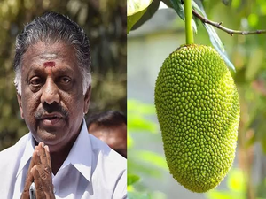 Ex-Tamil Nadu CM Panneerselvam faces triangular contest in Ramanathapuram LS seat | Ex-Tamil Nadu CM Panneerselvam faces triangular contest in Ramanathapuram LS seat