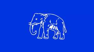 BSP names nine more candidates in UP | BSP names nine more candidates in UP